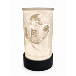 Lithophane-Lampe